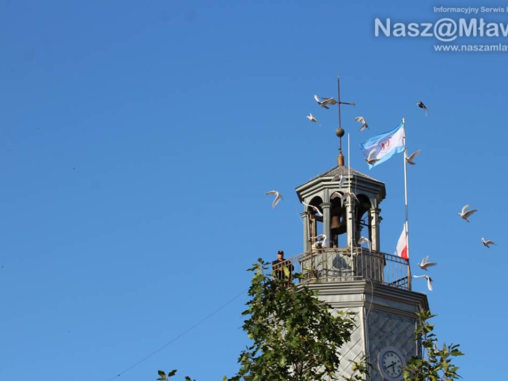 FOTORELACJE I FILMY - 