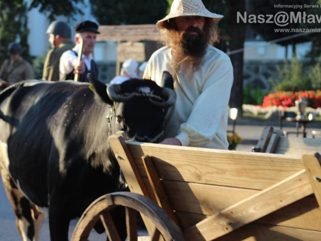 FOTORELACJE I FILMY - 