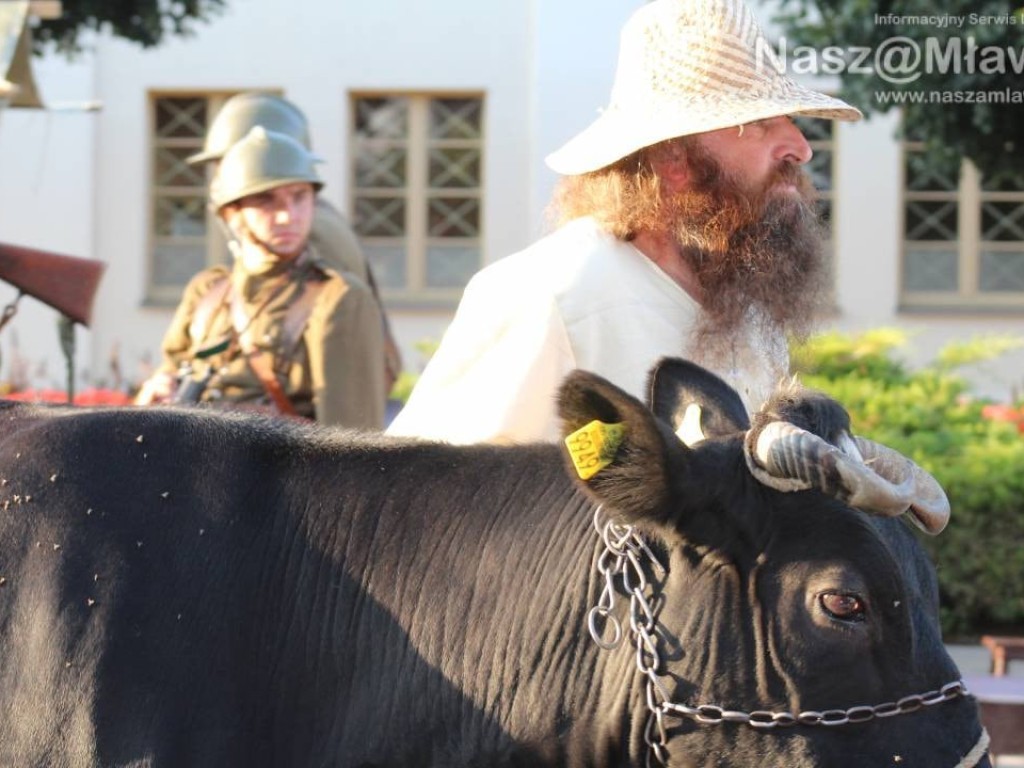 FOTORELACJE I FILMY - 