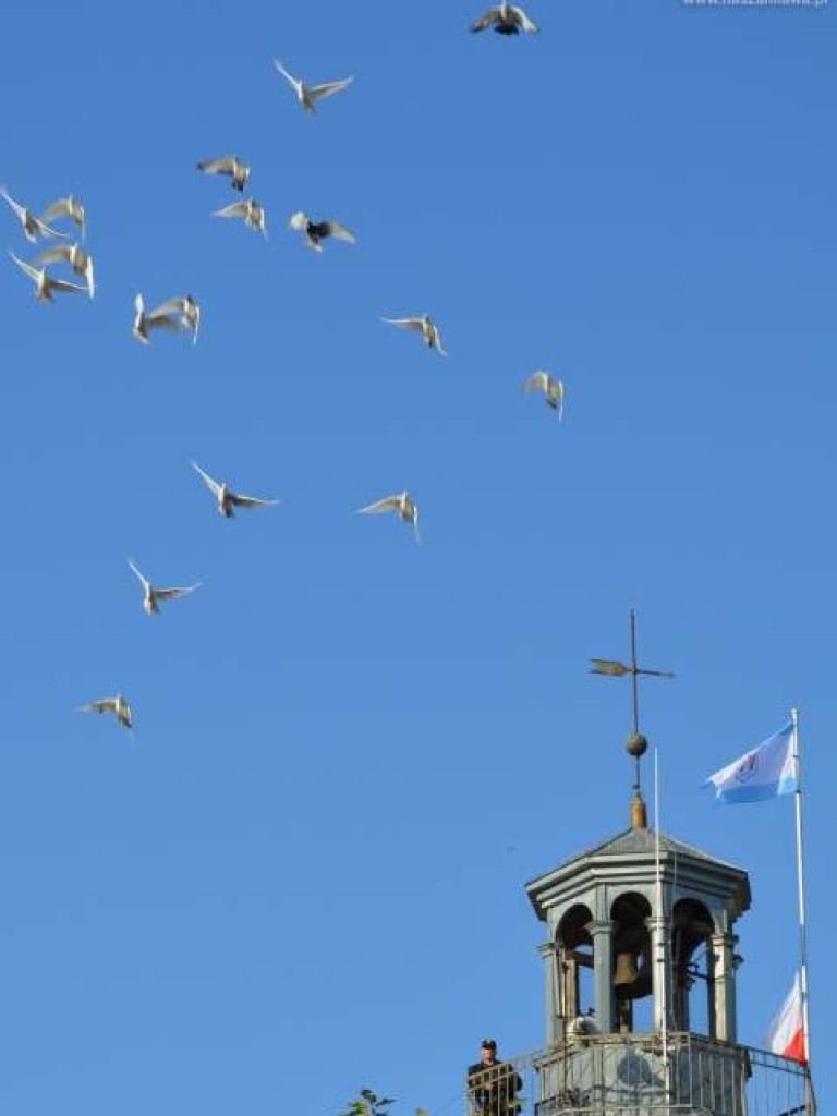 FOTORELACJA: Defilada podczas obchodów 80. rocznicy bitwy pod Mławą