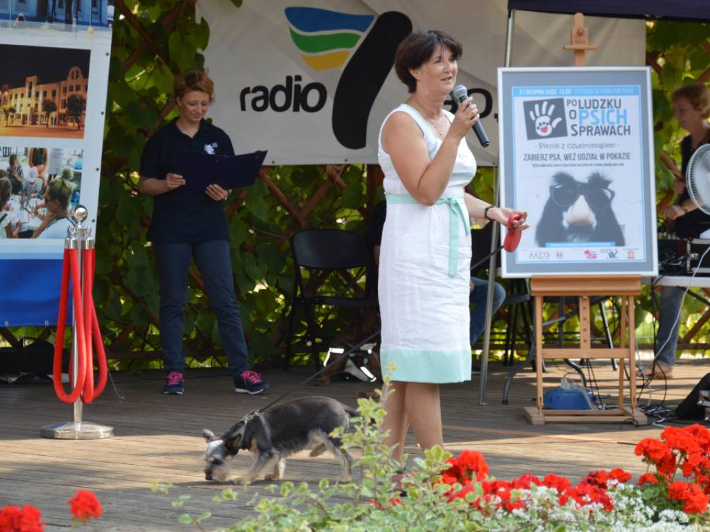 Piknik z czworonogiem. Mławianie prezentowali swoje psy