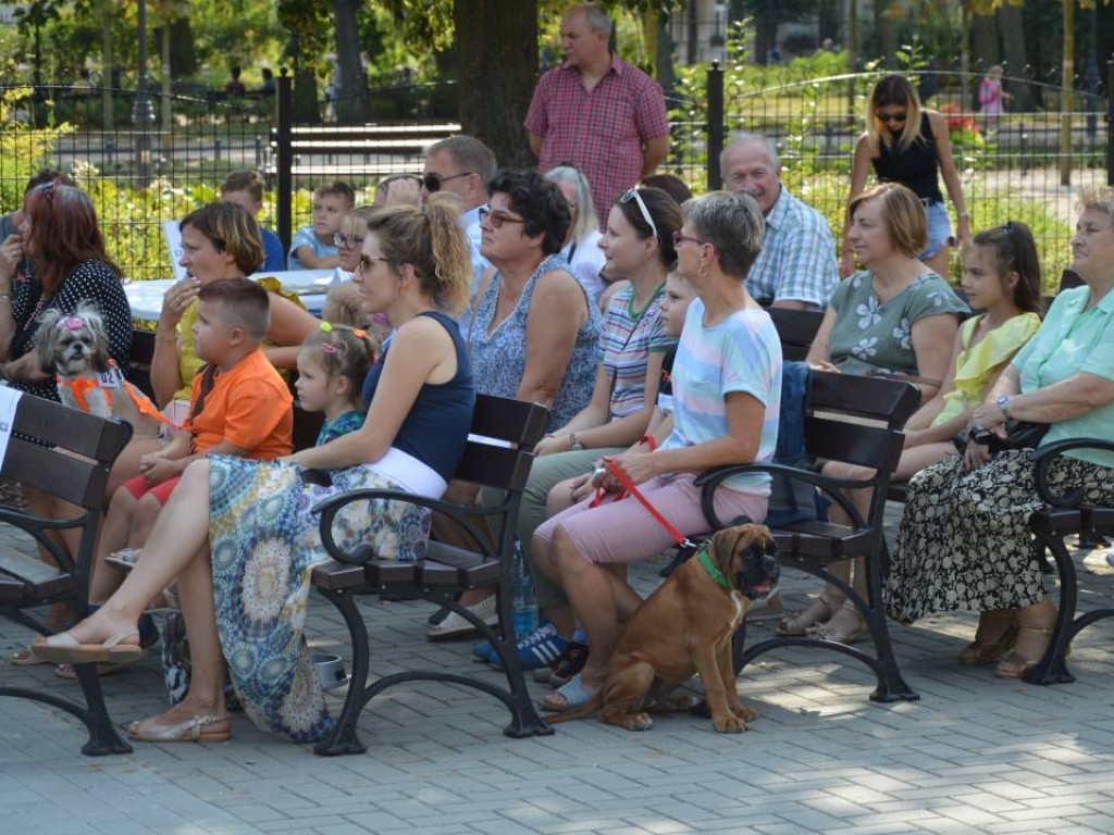 Piknik z czworonogiem. Mławianie prezentowali swoje psy