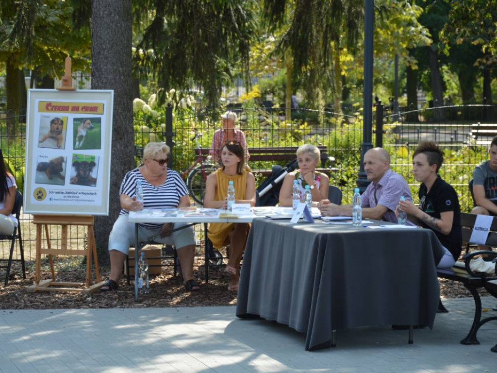 Piknik z czworonogiem. Mławianie prezentowali swoje psy