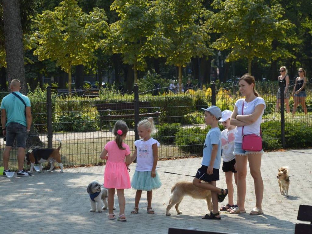 Piknik z czworonogiem. Mławianie prezentowali swoje psy