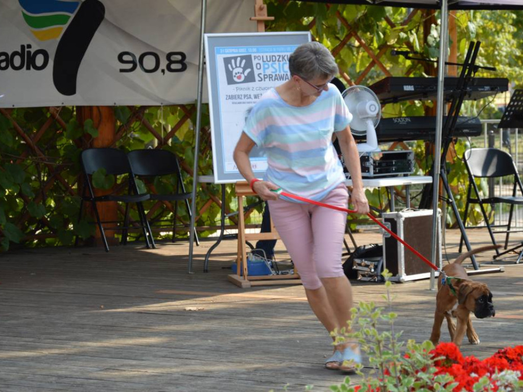 Piknik z czworonogiem. Mławianie prezentowali swoje psy