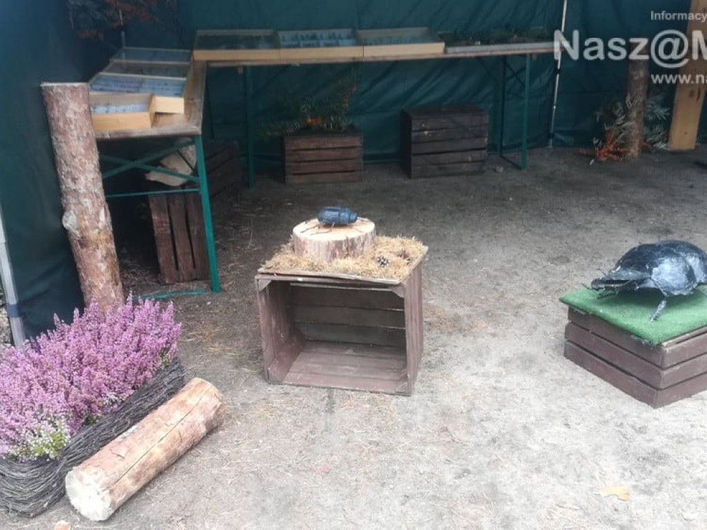 #sprzątaMY - mławscy uczniowie w akcji