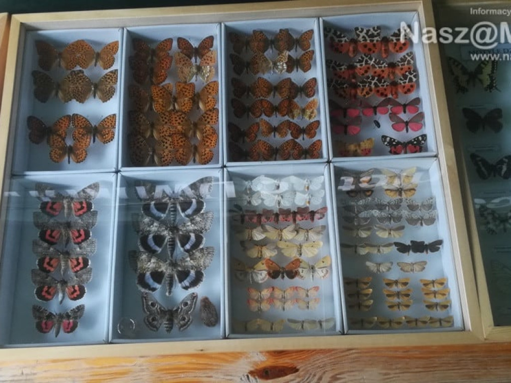 #sprzątaMY - mławscy uczniowie w akcji