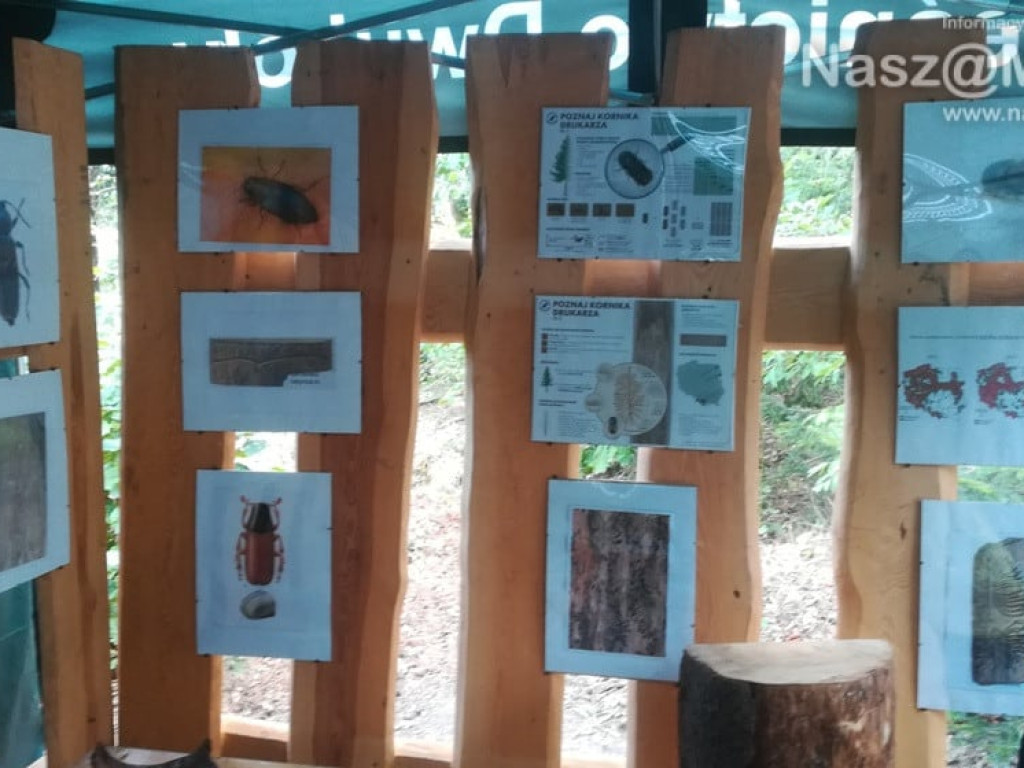 #sprzątaMY - mławscy uczniowie w akcji