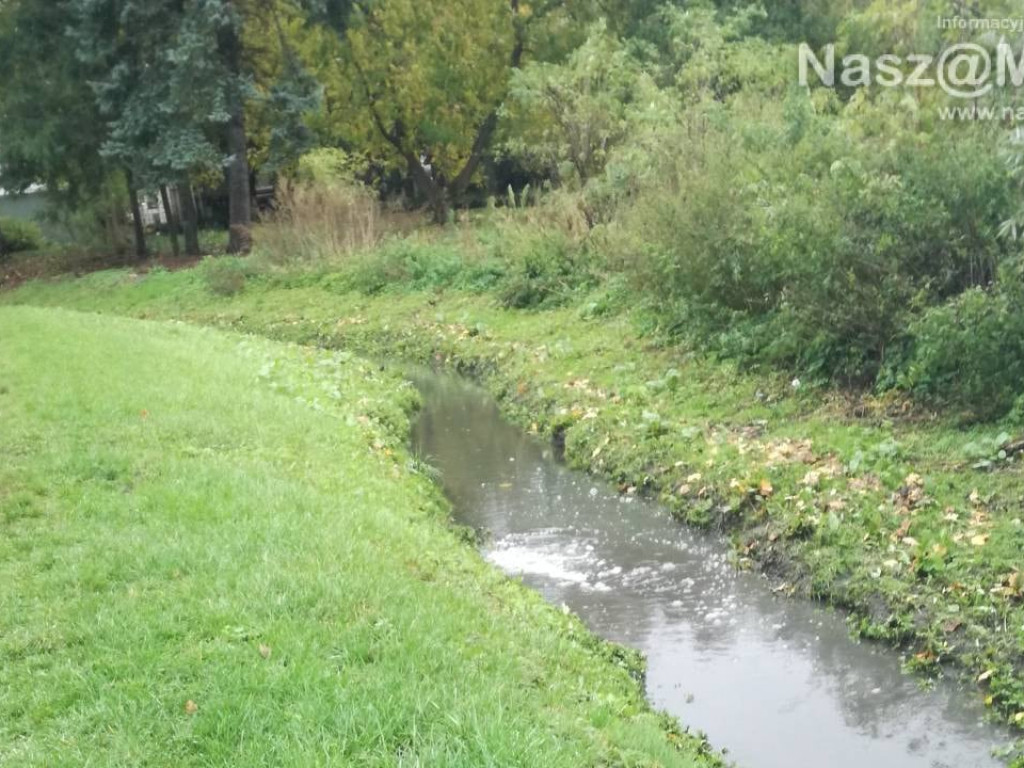 Złapany na gorącym uczynku. Co wylewał do rzeki? Nie chodzi o ścieki. AKTUALIZACJA