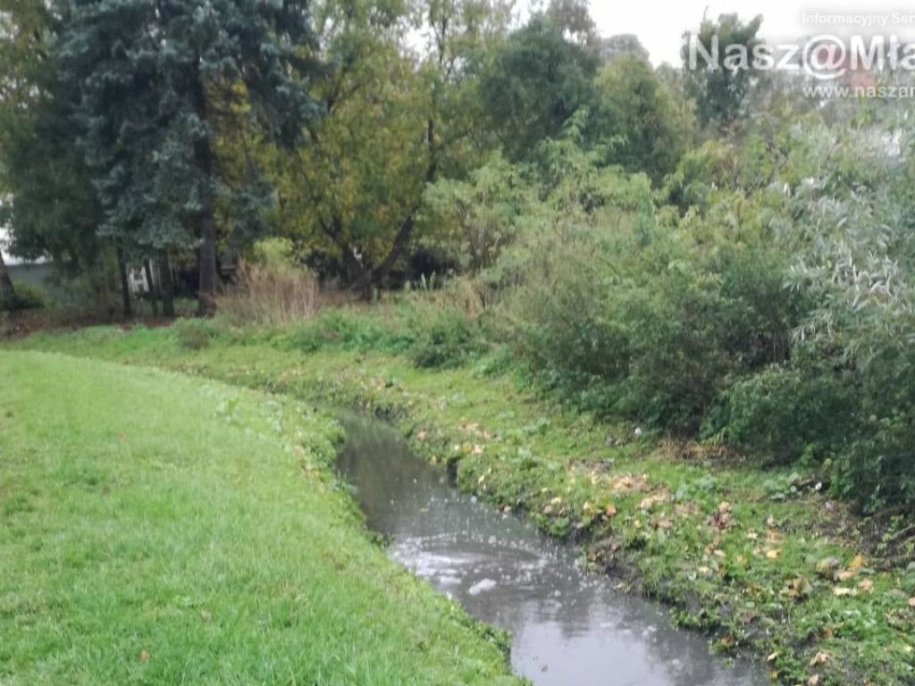 Złapany na gorącym uczynku. Co wylewał do rzeki? Nie chodzi o ścieki. AKTUALIZACJA