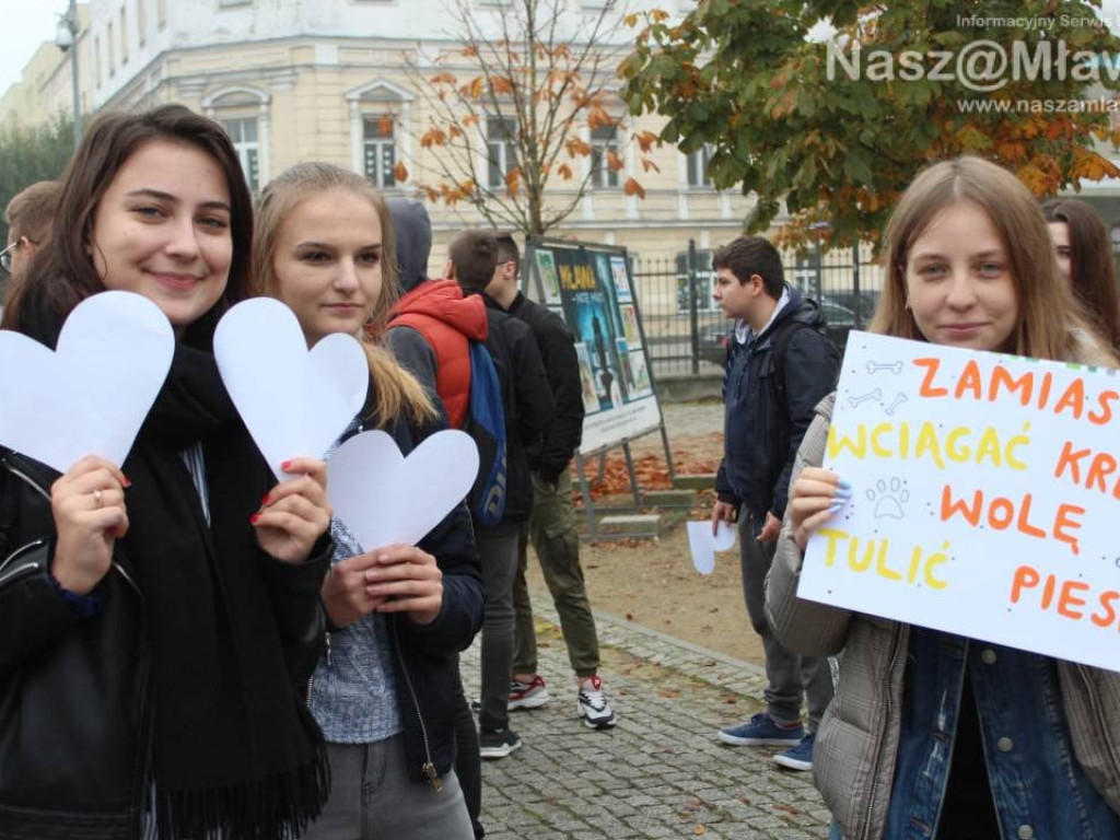 Marsz Białych Serc w Mławie