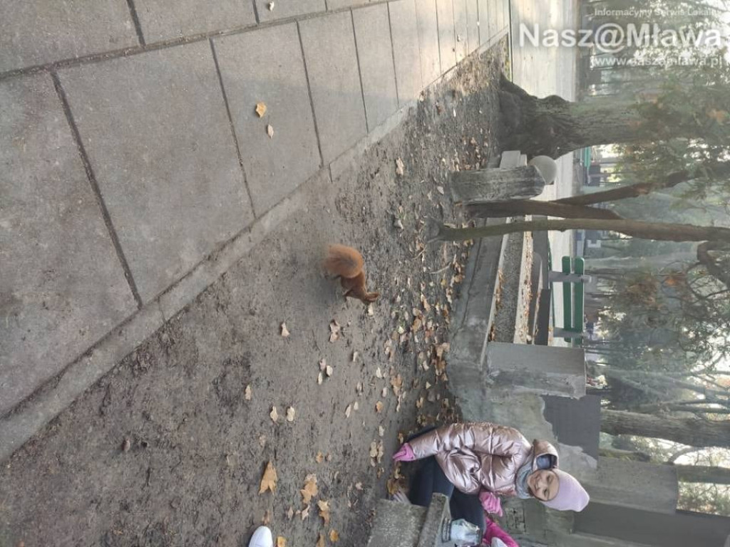 Mławscy uczniowie odwiedzili groby na Powązkach w Warszawie