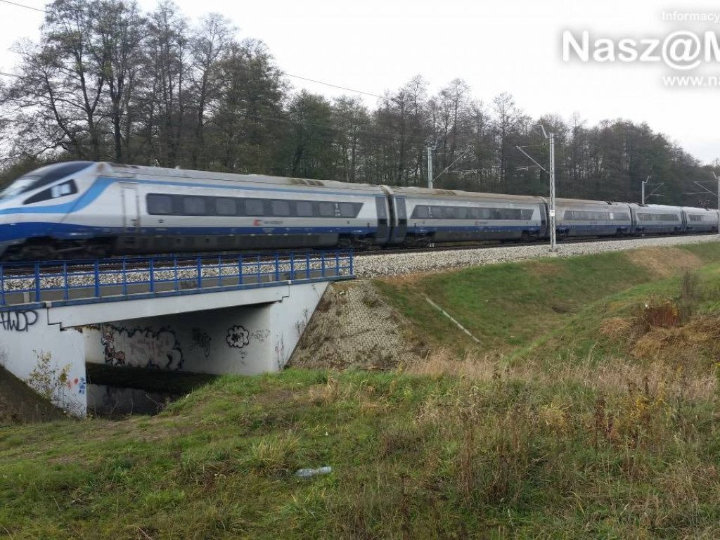 Bobry nie opuściły Seracza