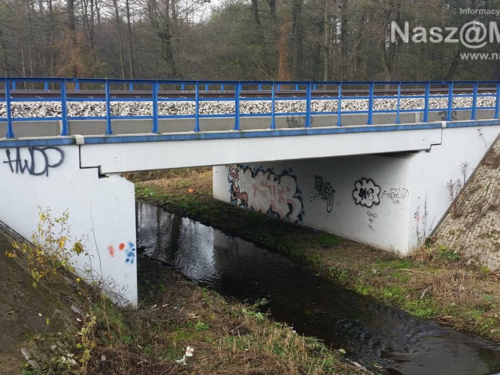 Bobry nie opuściły Seracza