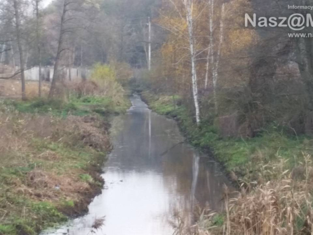 Bobry nie opuściły Seracza