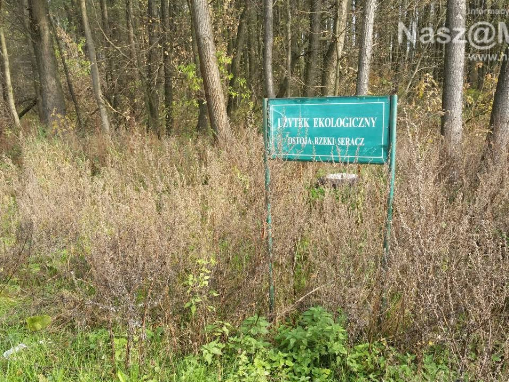 Bobry nie opuściły Seracza