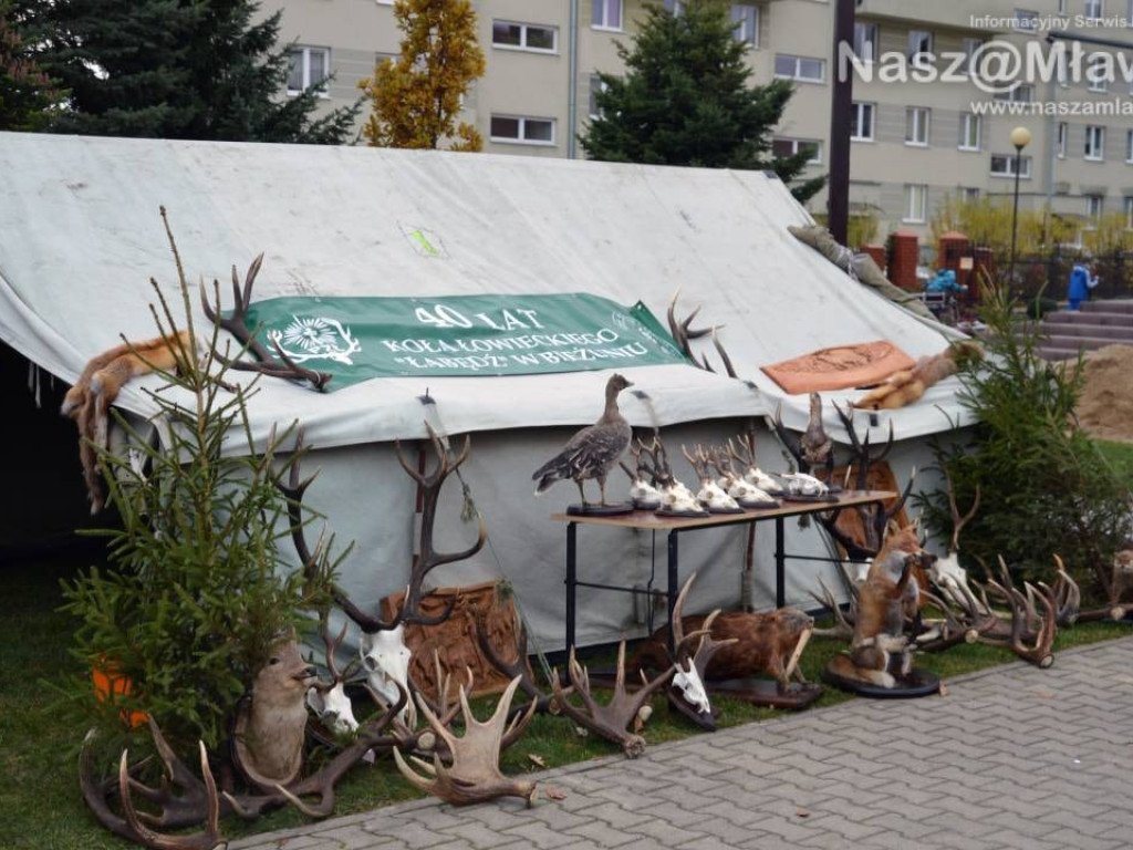 Hubertus w Mławie wzbudził zainteresowanie. Fotorelacja