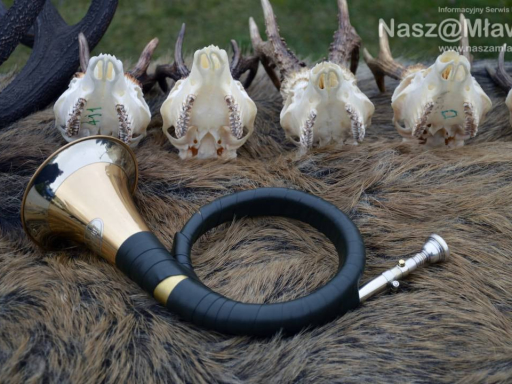 Hubertus w Mławie wzbudził zainteresowanie. Fotorelacja