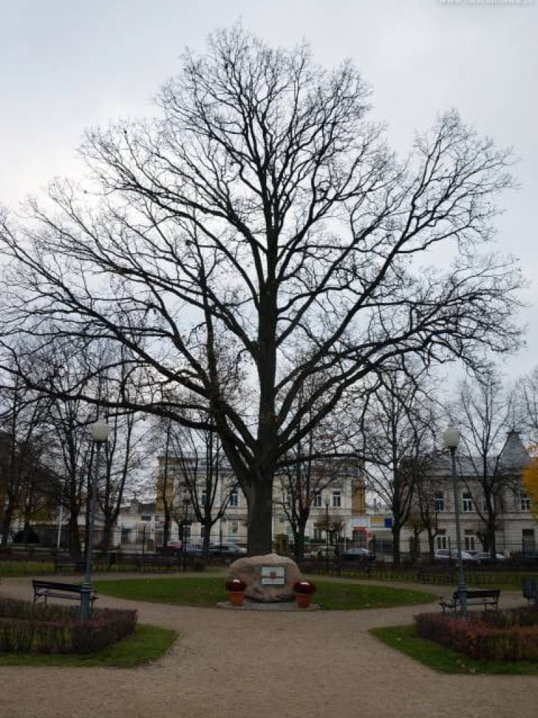 Mławskie  obchody 11 listopada 