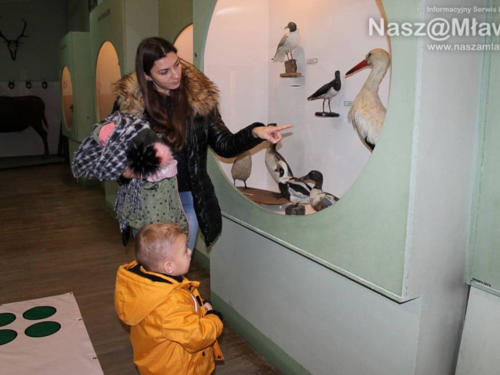 Obrazy w 3D i skarby z magazynu...