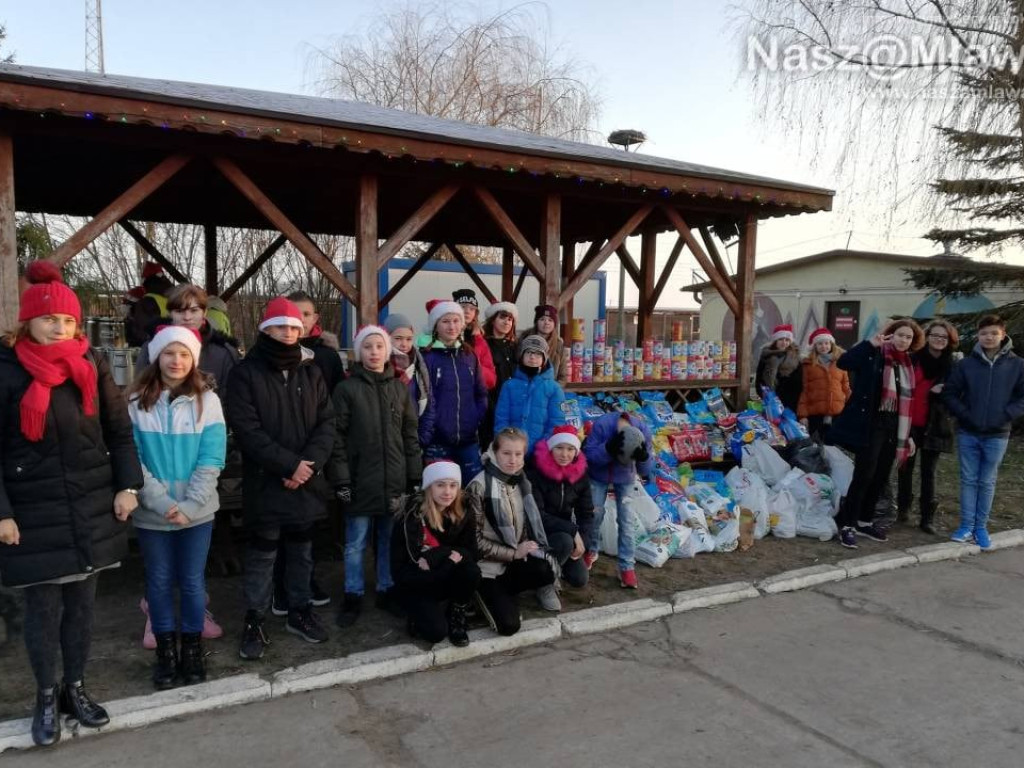 Rekordowe Mikołajki w schronisku