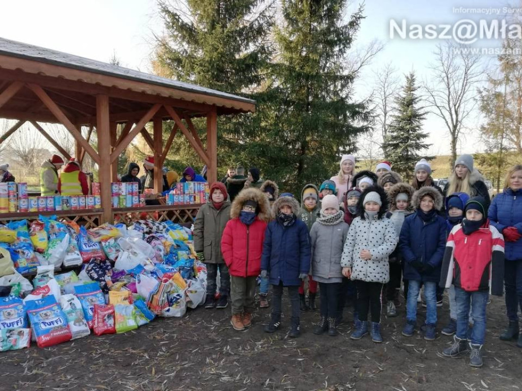 Rekordowe Mikołajki w schronisku