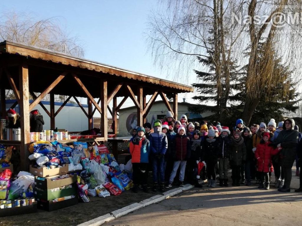 Rekordowe Mikołajki w schronisku
