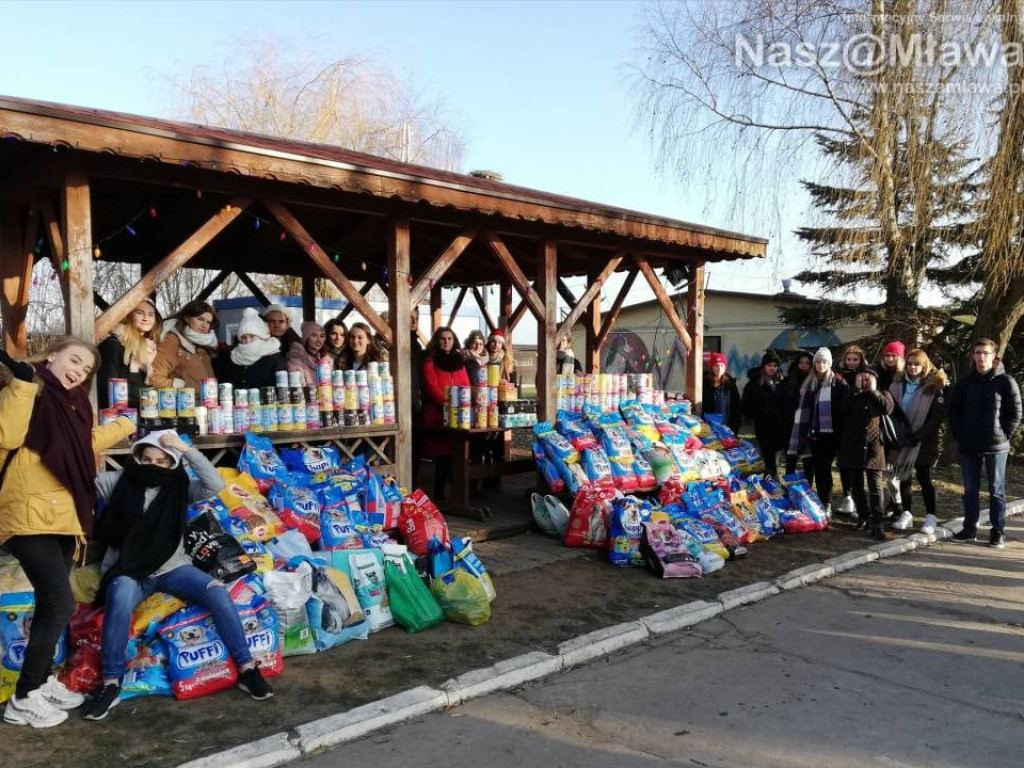 Rekordowe Mikołajki w schronisku