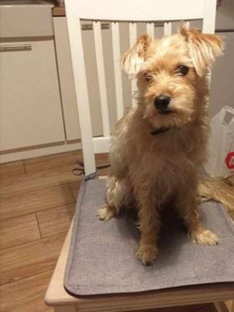 ZAGINĘŁY. Pomóż odnaleźć