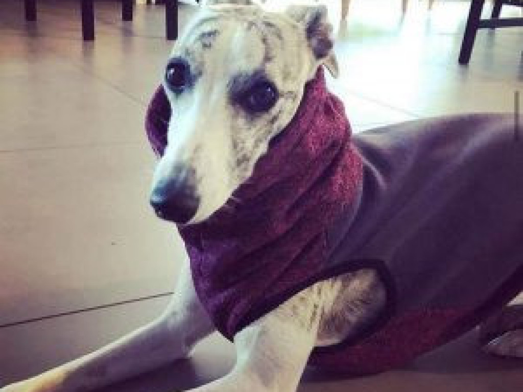 ZAGINĘŁY. Pomóż odnaleźć