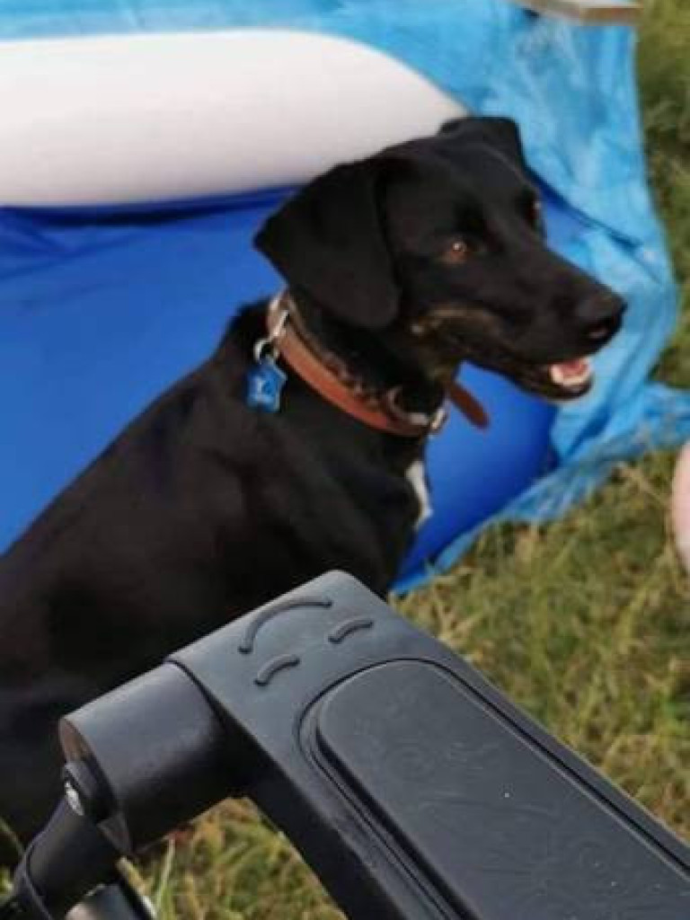 ZAGINĘŁY. Pomóż odnaleźć