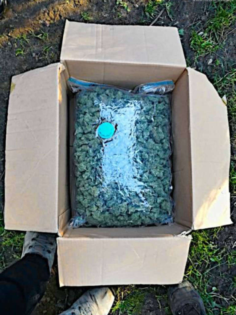 Zbrojna grupa przestępcza w powiecie mławskim? [WIDEO]