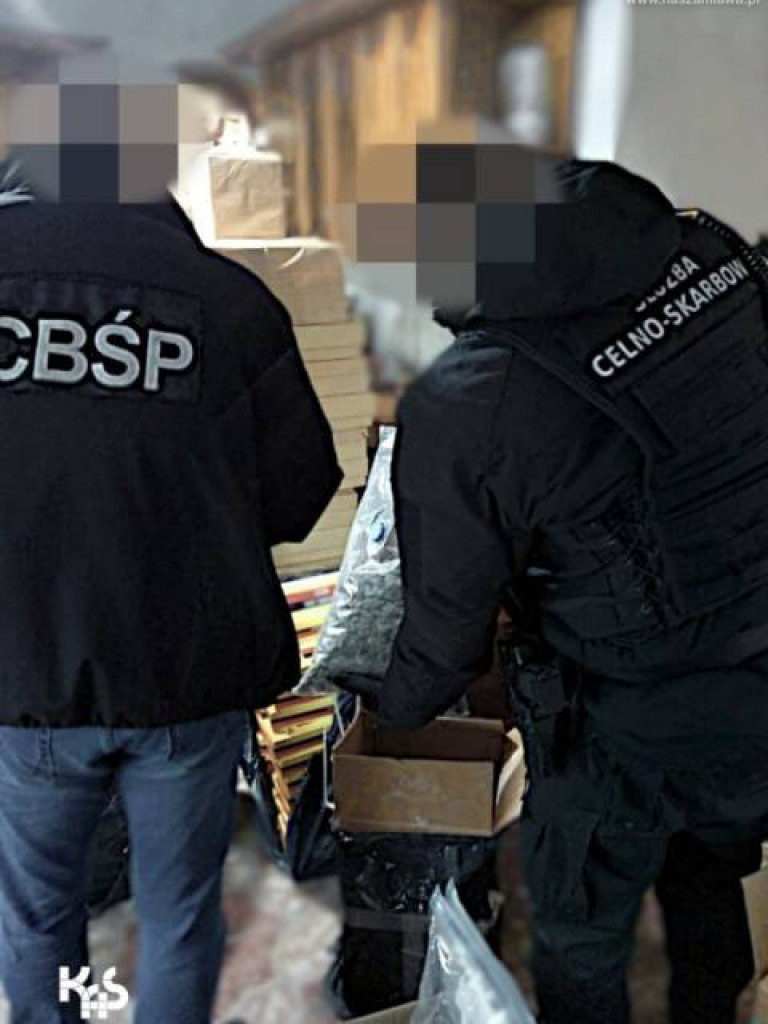 Zbrojna grupa przestępcza w powiecie mławskim? [WIDEO]