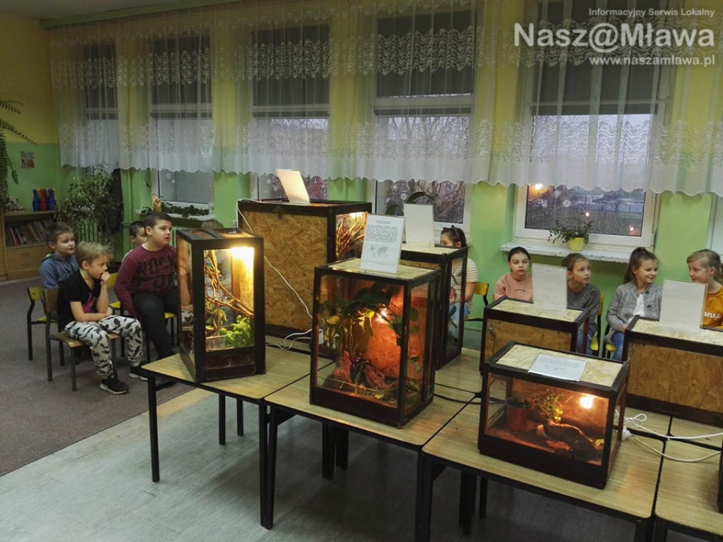 Wystawa zwierząt egzotycznych. Dzieci były odważne