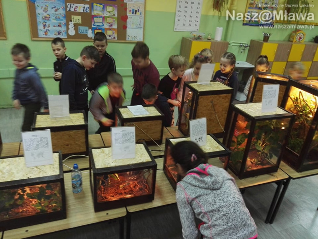 Wystawa zwierząt egzotycznych. Dzieci były odważne