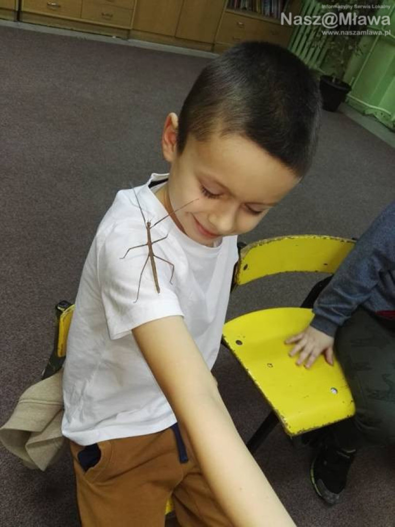 Wystawa zwierząt egzotycznych. Dzieci były odważne