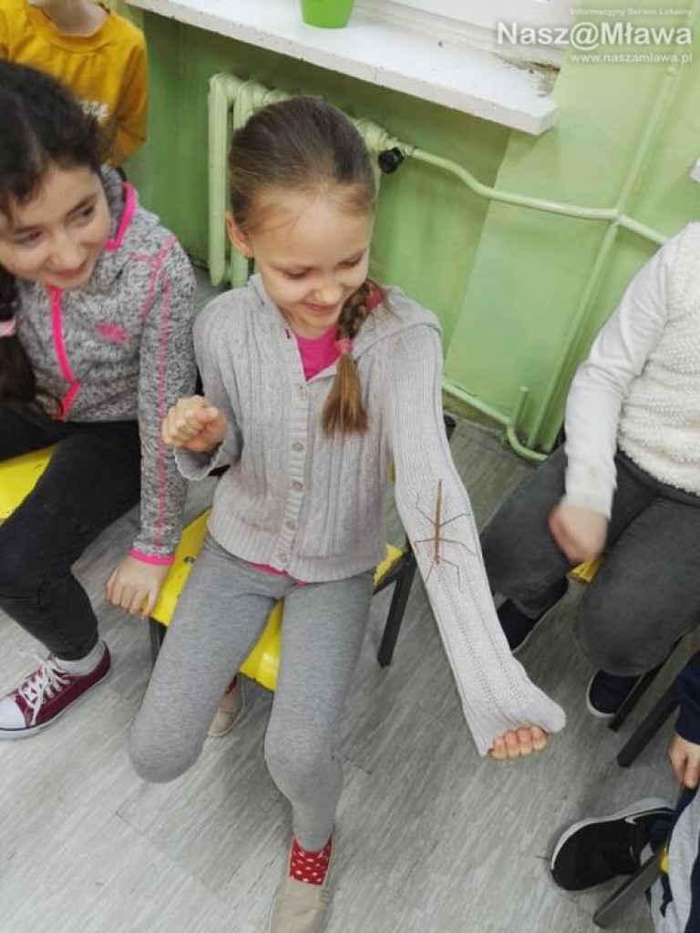 Wystawa zwierząt egzotycznych. Dzieci były odważne