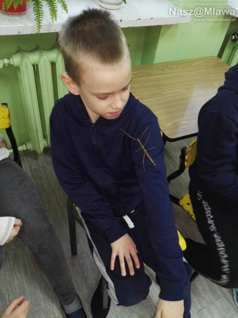 Wystawa zwierząt egzotycznych. Dzieci były odważne