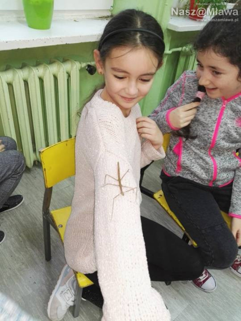 Wystawa zwierząt egzotycznych. Dzieci były odważne