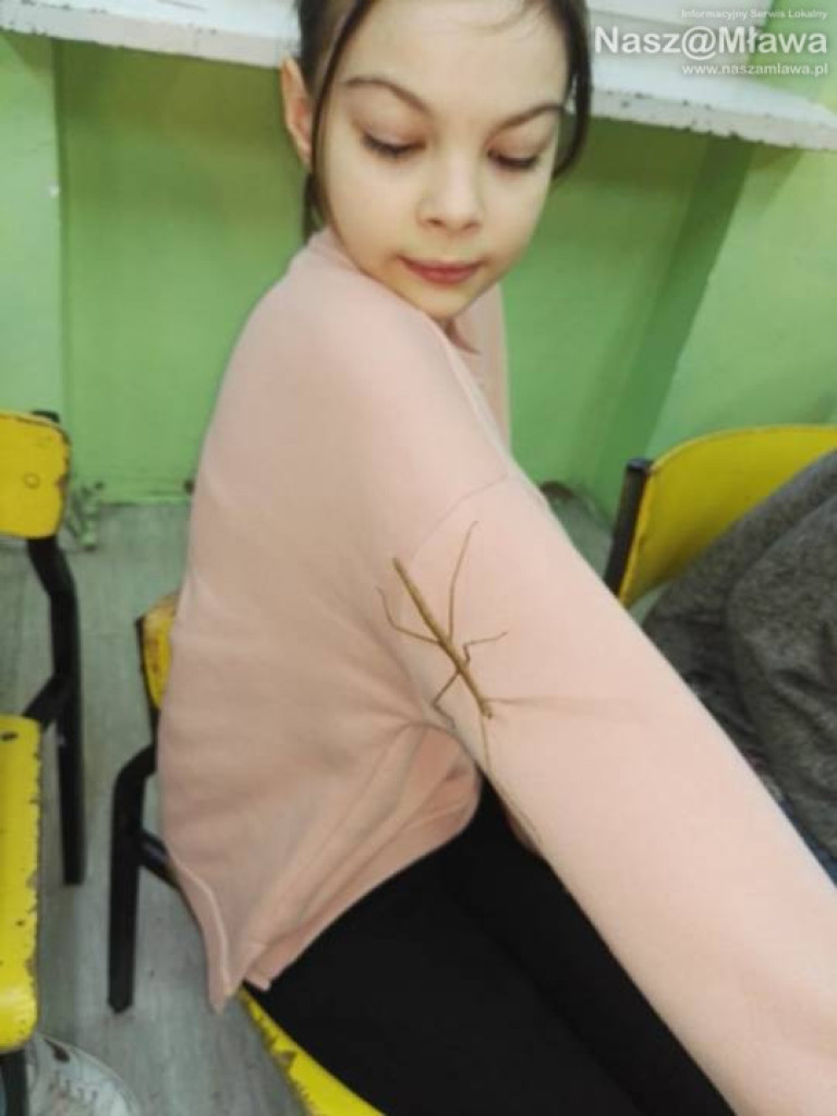 Wystawa zwierząt egzotycznych. Dzieci były odważne