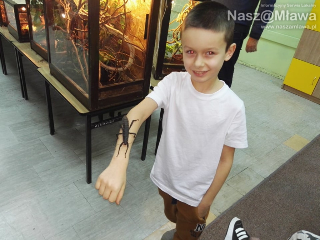 Wystawa zwierząt egzotycznych. Dzieci były odważne