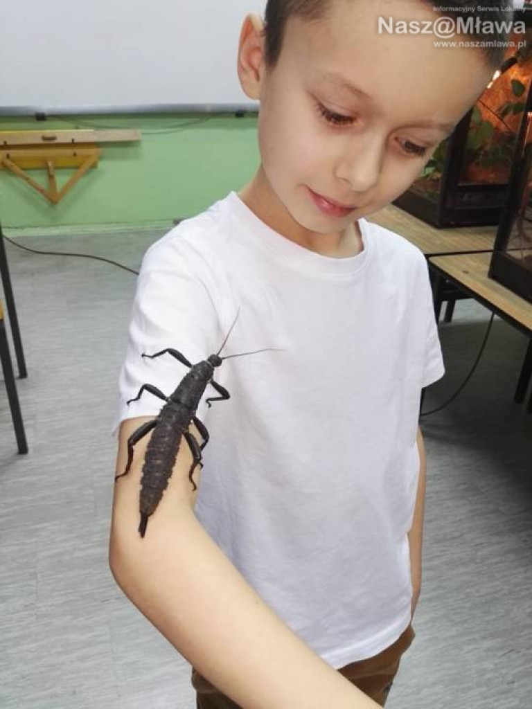 Wystawa zwierząt egzotycznych. Dzieci były odważne