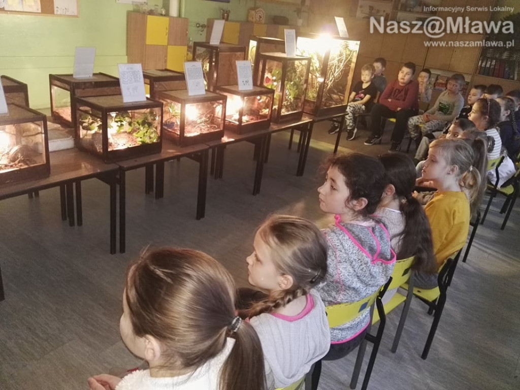 Wystawa zwierząt egzotycznych. Dzieci były odważne