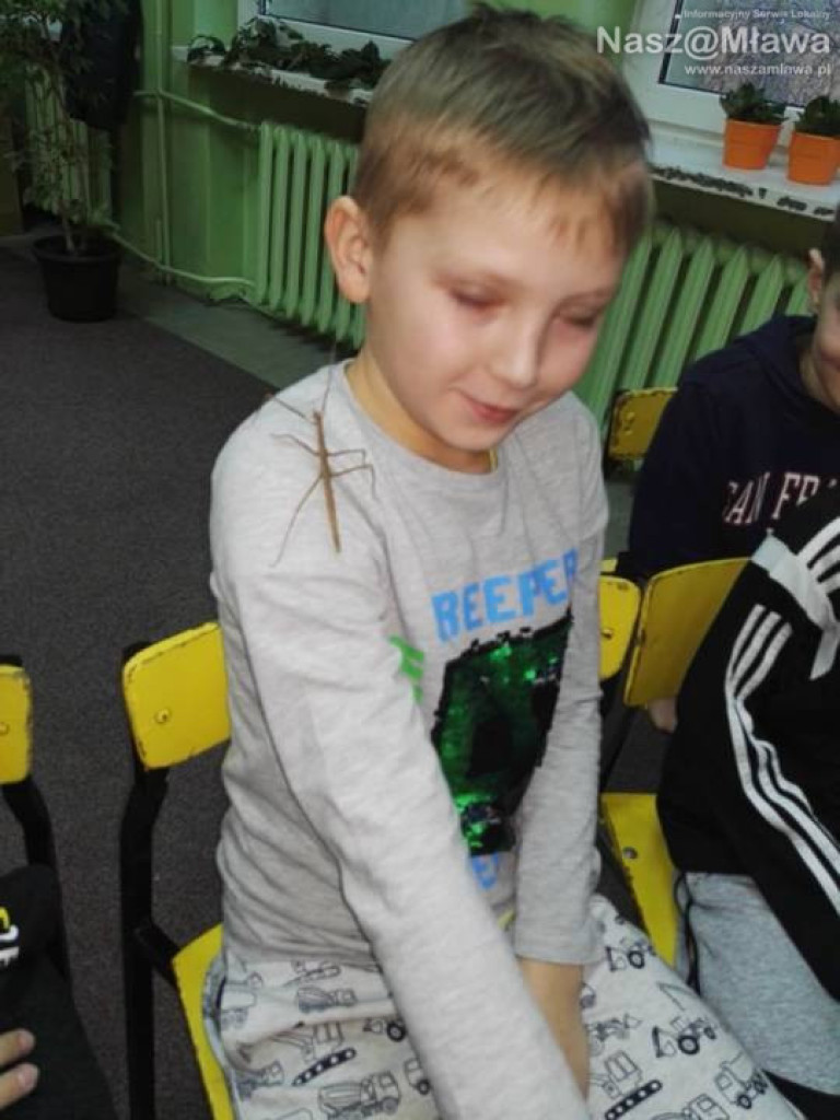 Wystawa zwierząt egzotycznych. Dzieci były odważne