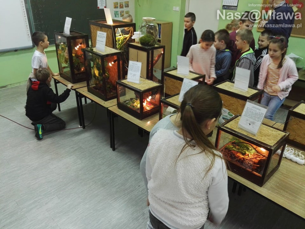 Wystawa zwierząt egzotycznych. Dzieci były odważne