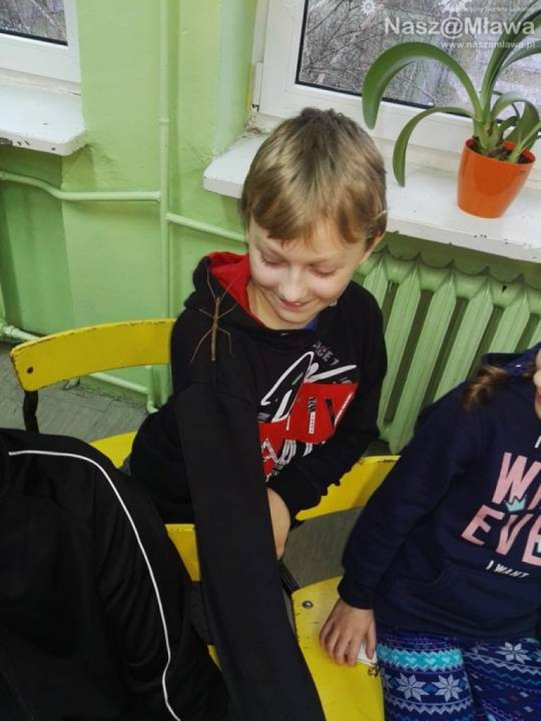 Wystawa zwierząt egzotycznych. Dzieci były odważne