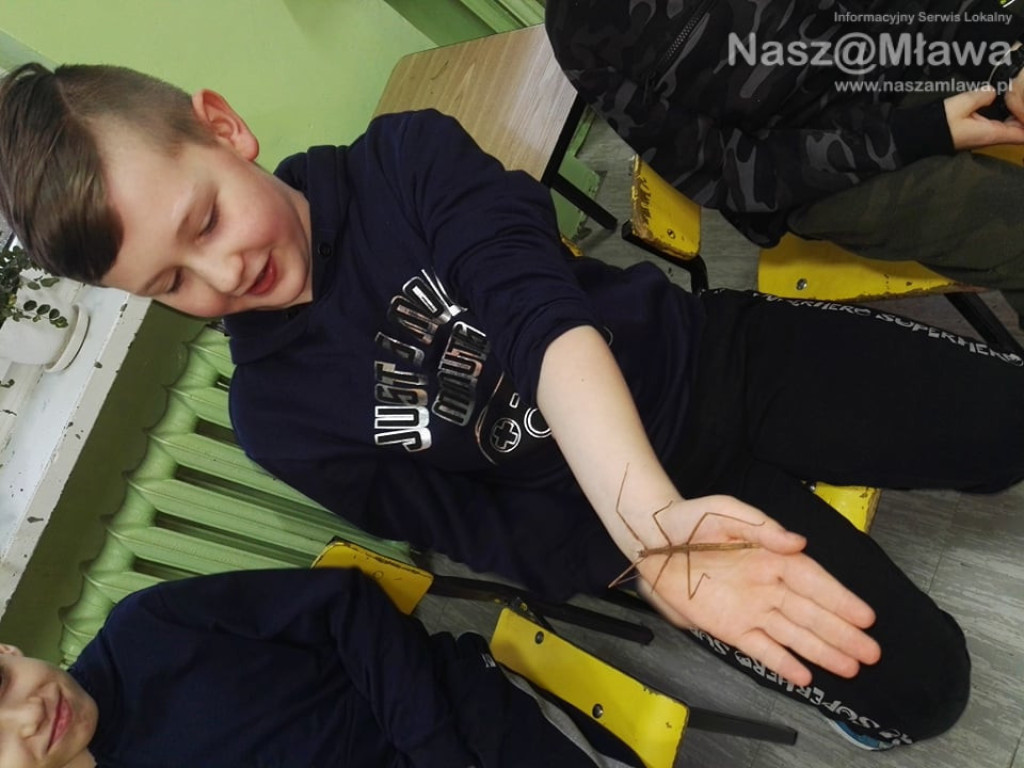 Wystawa zwierząt egzotycznych. Dzieci były odważne