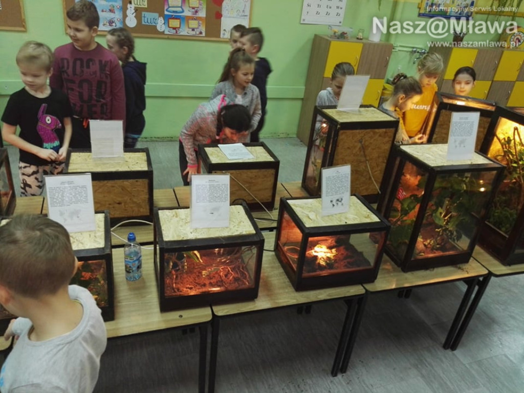Wystawa zwierząt egzotycznych. Dzieci były odważne