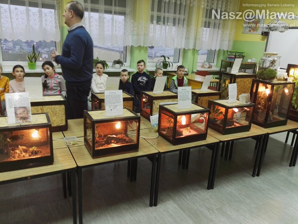 Wystawa zwierząt egzotycznych. Dzieci były odważne