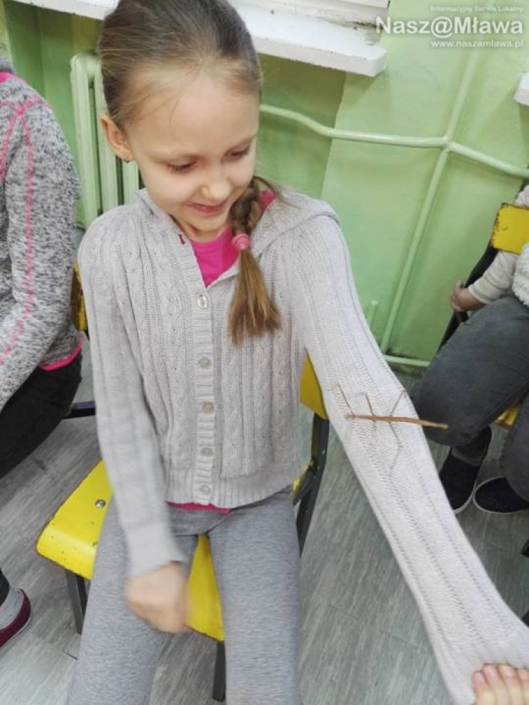 Wystawa zwierząt egzotycznych. Dzieci były odważne